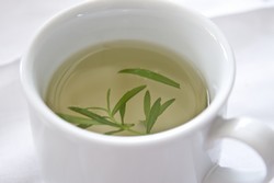 herbal tea recipes