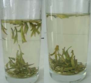 xi hu longjing