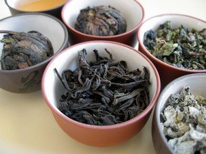 green tea versus oolong tea