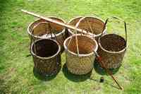 oolong tea processing