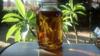 A Wonderful Sun Tea 